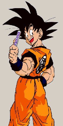 img69.gif (1411 byte)