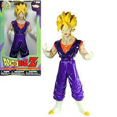 IRW4056300_vegito_16inch.jpg (8766 byte)
