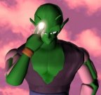 apiccolo1.jpg (5161 byte)