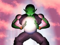 apiccolo2.jpg (7156 byte)