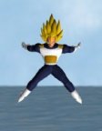 avegeta3.jpg (3153 byte)
