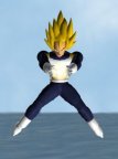 avegeta4.jpg (3426 byte)
